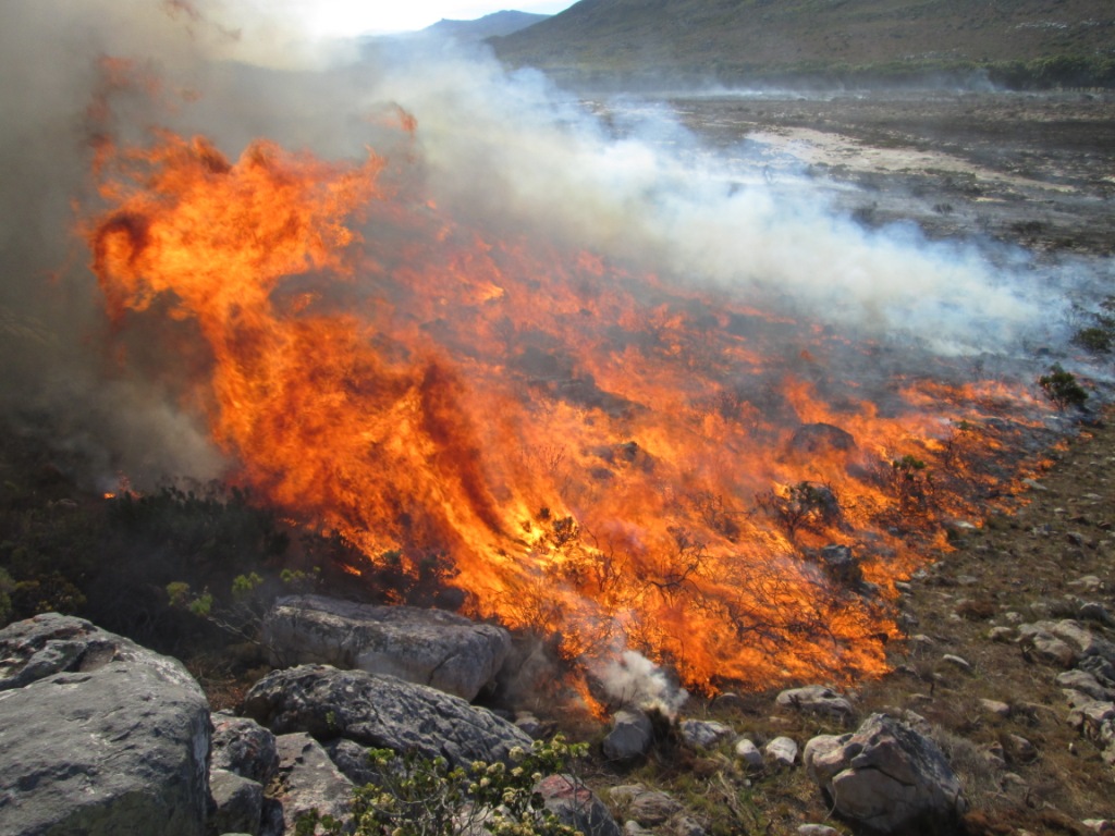 Cape Point Prescribed Burn 2013